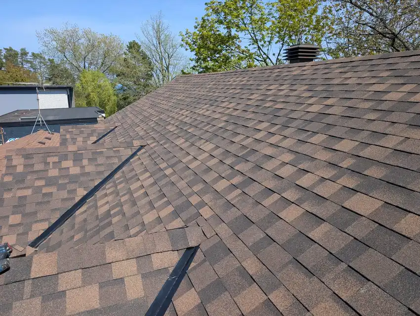 Shadow Brown Dynasty shingle roof replacement in North York